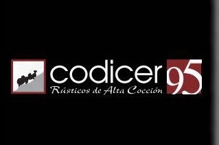Codicer95